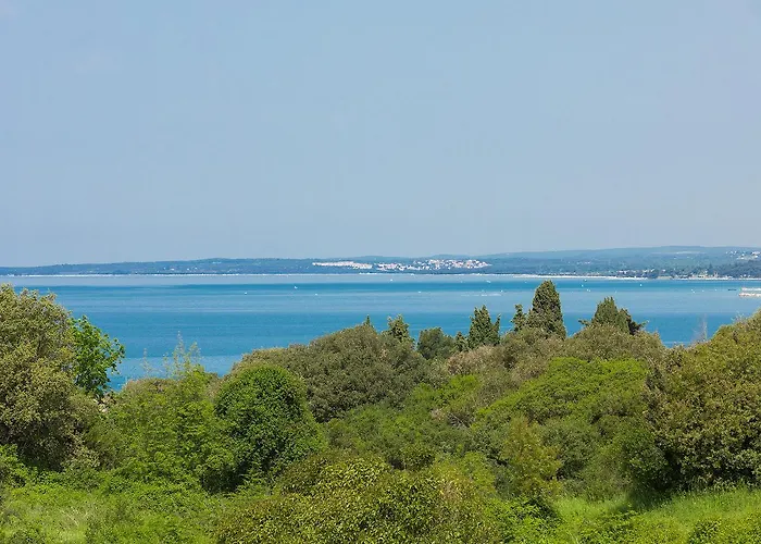 Astinian Jadranka Πούλα